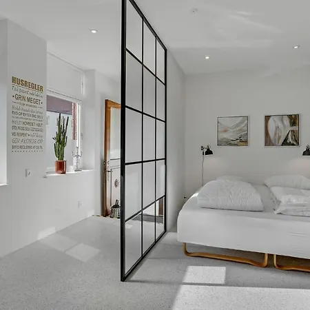 Gorgeous In With Kitchen Apartment Sonderborg